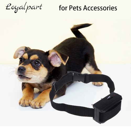 Barking automatic shock - automatic,
