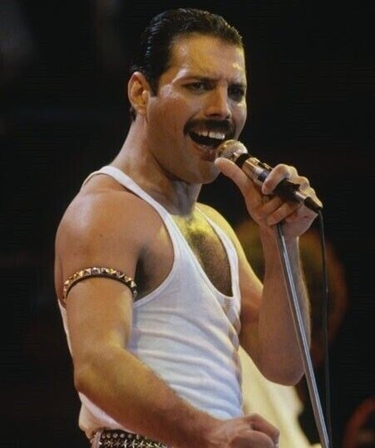 Freddie mercury unsigned - 10", x