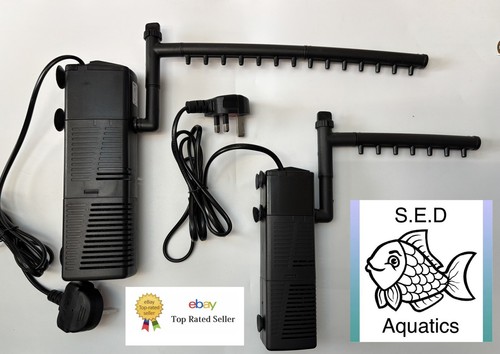 Aquarium fish tank - aquarium,