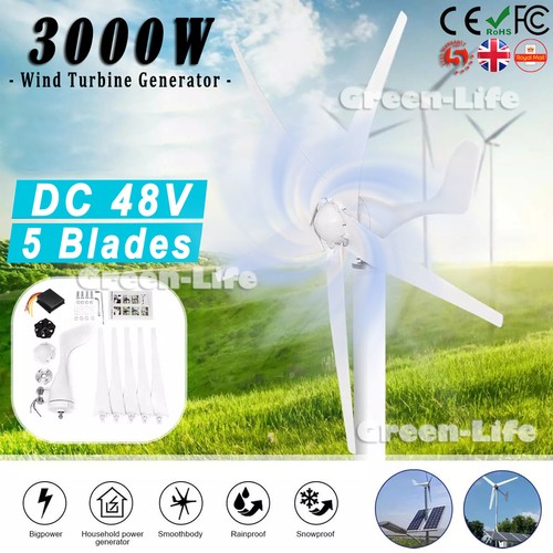 3000w blades wind turbine - 5,