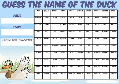 Guess the name duck - guess,