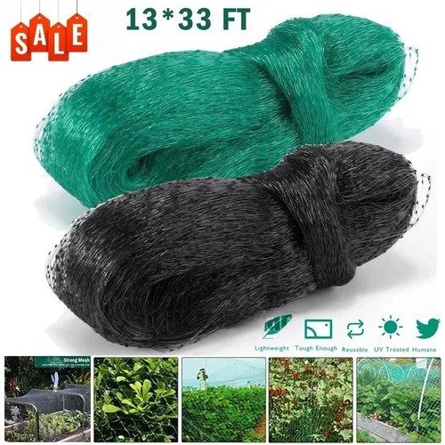 33ft anti bird netting - bird,