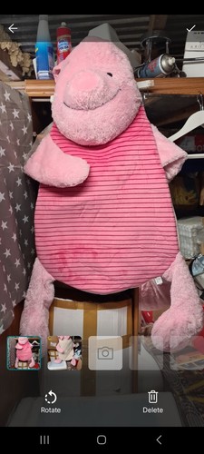 Piglet from winnie - piglet, the