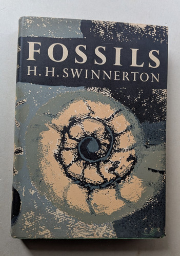 Fossils swinnerton new - fossils,