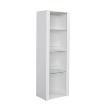 Modern Tall Cabinet Display
