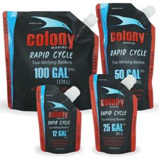 Atm colony marine nitrifying - -,