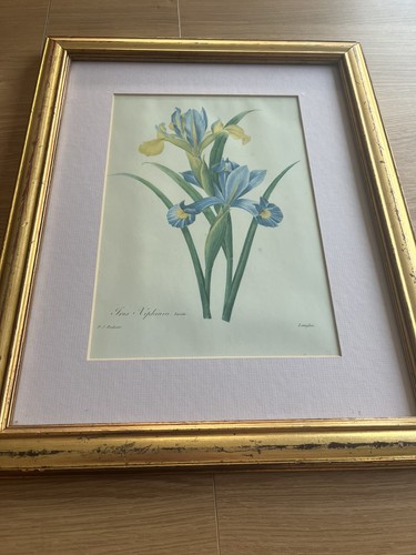 Framed print pierre - by, pierre-joseph