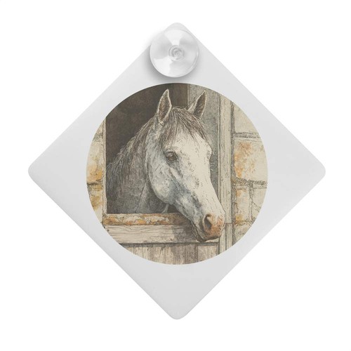Horse stable door - stable, car