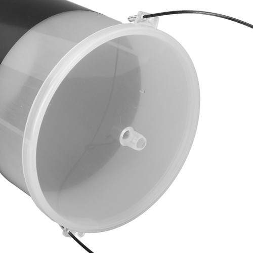 Brine shrimp eggs - brine,