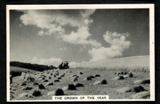 Tobacco Card, Senior Service