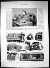 Old Print 1888 Edison