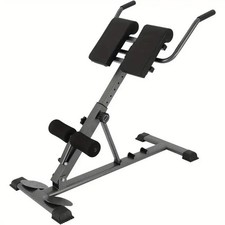 Fitness Workout Sport Roman