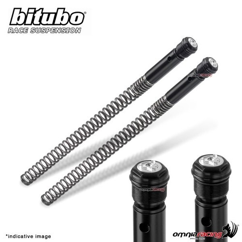 Bitubo kb1 springs - bitubo, for
