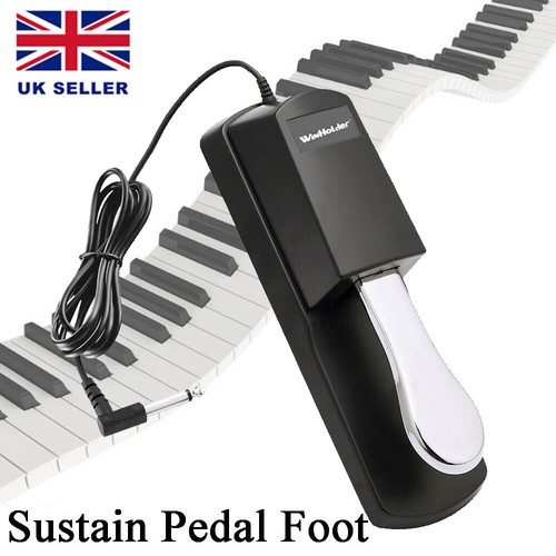 Electric piano keyboard - piano,