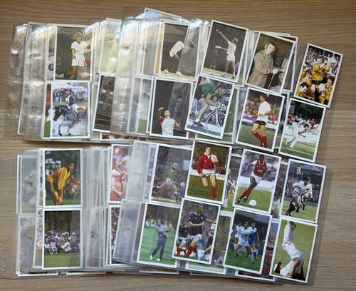 240 question sport cards - question,
