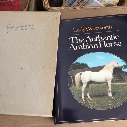The authentic arabian horse - horse, by