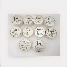 10 Piece Wooden Baby Milestone Discs