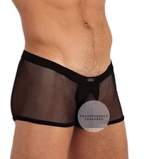 Gregg Homme 85005 X-Rated