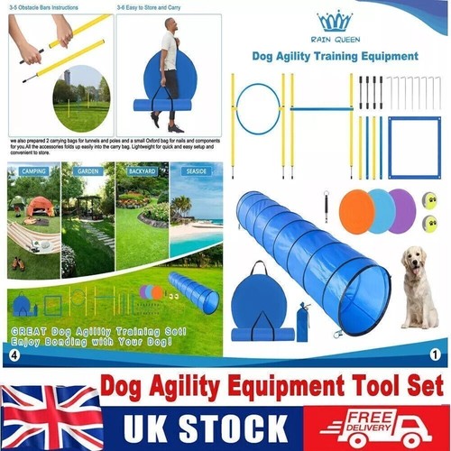 Dog agility equipment tool - uk,