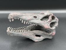 Dinosaur Skull Replica –