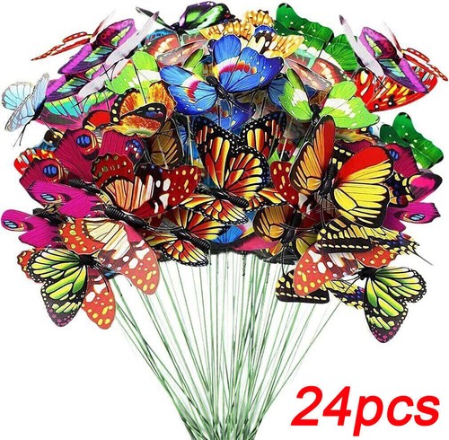 Colourful butterflies - 24,