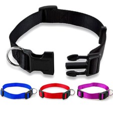 4Colours Puppy Dog Collar
