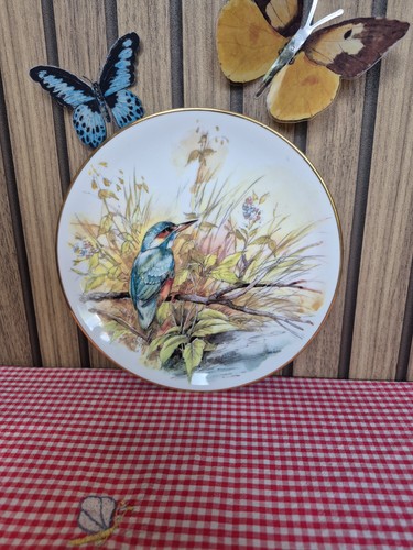 Vintage kingfisher decorative - vintage,