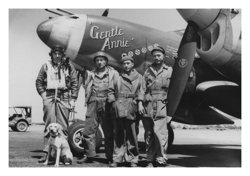 Lockheed p38 gentle annie 20th - lockheed,