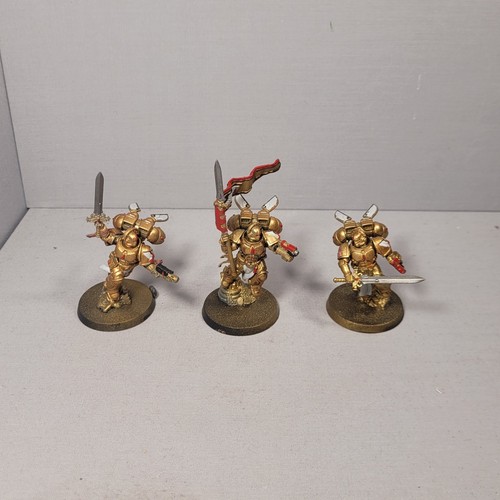 Sanguinary guard blood angels - blood,