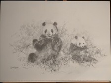 David Shepherd - Pandas Pencil