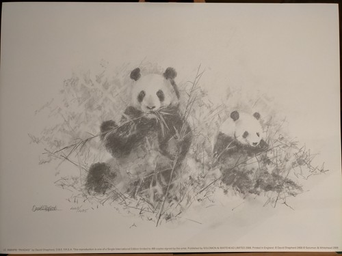 David shepherd pandas pencil - david,