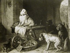 Edwin Landseer WELL-FED JACK