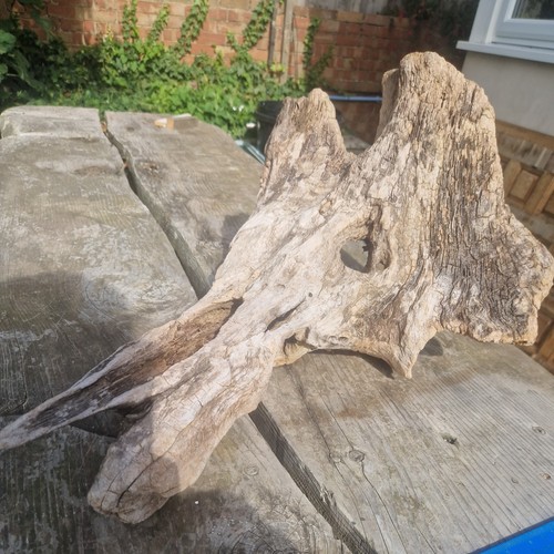 Aquarium natural driftwood - natural,