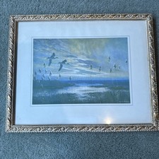 Peter Scott, Pair of Teal Flighting   Vintage Framed Print 1940