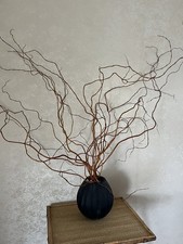 Natural Curly Willow Twigs