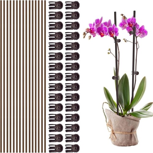 15pcs 40cm plant support - 15pcs,