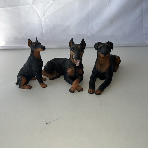 1988 castagna black - castagna, doberman