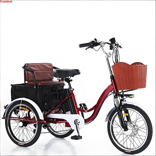 Electric trike 48v 13a 3 - 20",