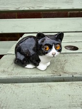 Winstanley Black and White Cat
