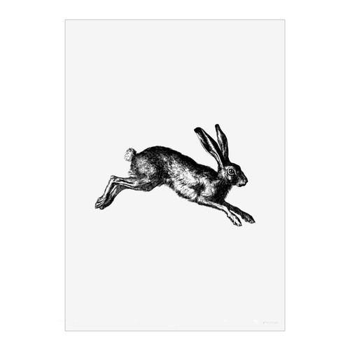 Hare rabbit jumping unframed - jumping',