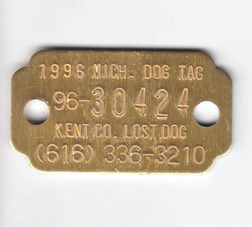 1996 kent county michigan - 1996,