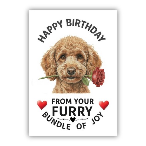 Birthday card from - birthday, –