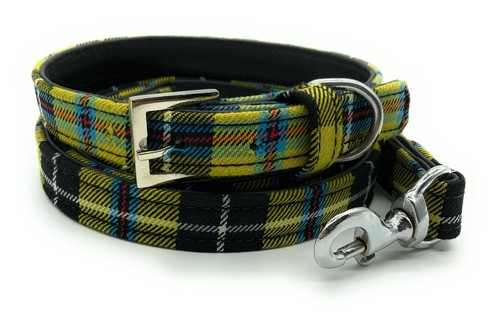 Cornish national tartan dog - cornish,