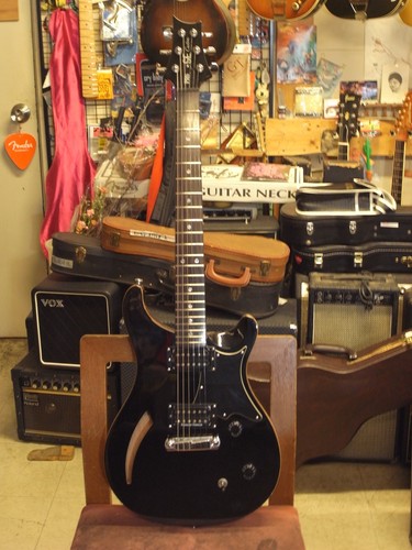 Paul reed smith - reed, se
