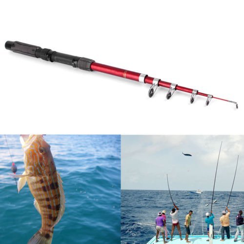 Portable fishing pole - portable,