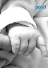 MY BIG FAT CALENDAR 2018