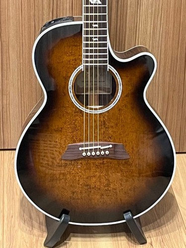 Takamine ptu100 custom order - takamine,
