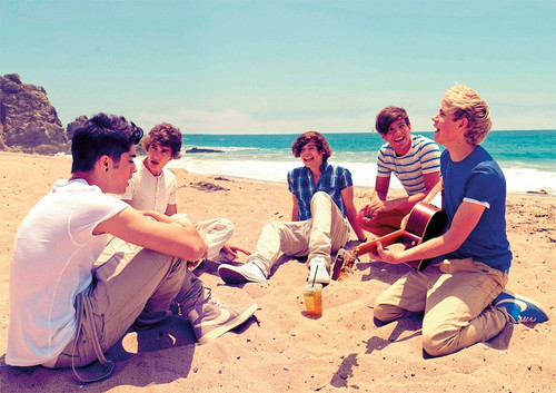 One direction beach poster - one,