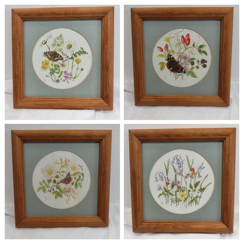 Vintage framed butterfly - x,