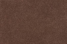 Turtle Mat - Dirt Trapper -